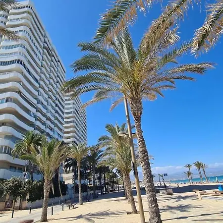 Torres Blan 11 Alicante